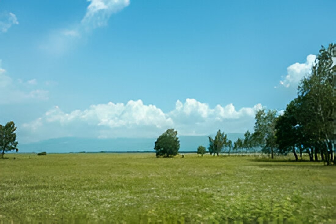 SALE OF LAND PLOT
